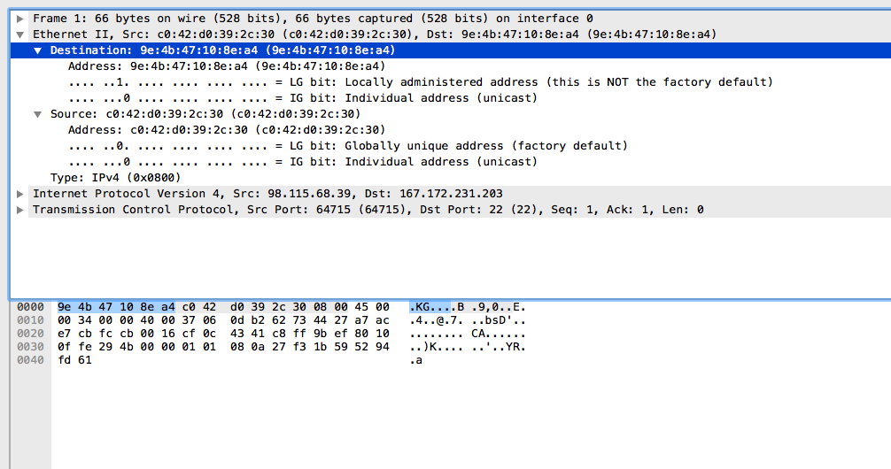 Wireshark Screen Capture